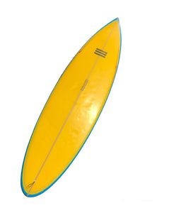 wayne lynch midlength surfboard
