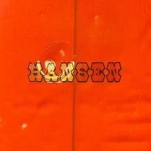 Load image into Gallery viewer, Close-up of an orange surfboard with a central vertical seam, double green border lines, and a stylized 'Hanson' logo in orange and black near the center.